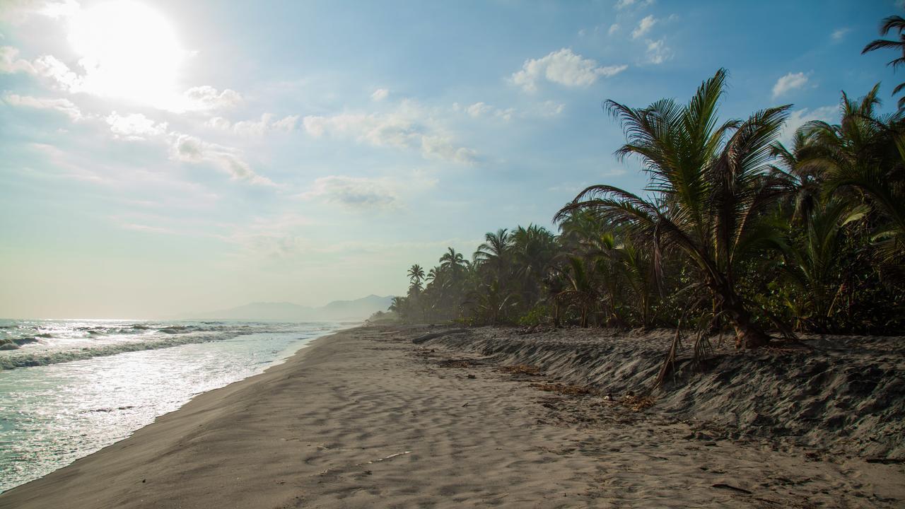 Costeno Beach Surf Camp Guachaca Exterior foto